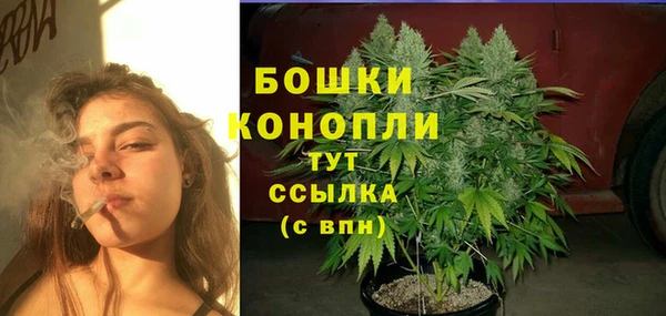 гашик Горно-Алтайск