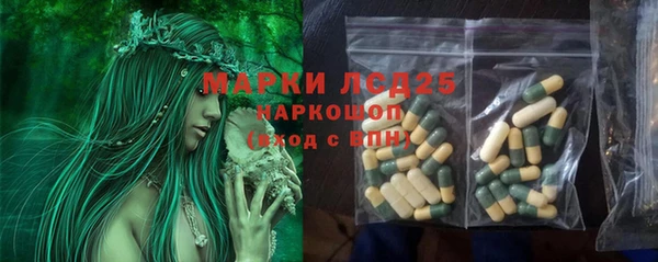 гашик Горно-Алтайск